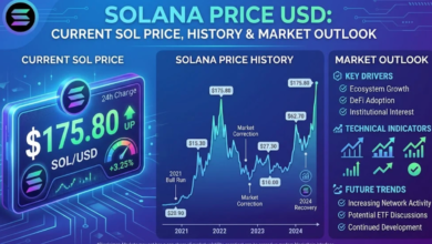 Solana Price USD